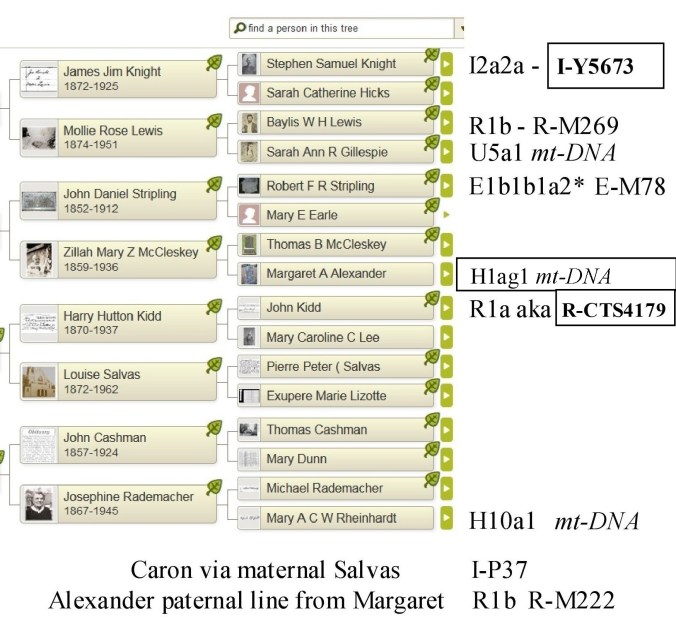 01a Copy of cherie known dna haplogroups