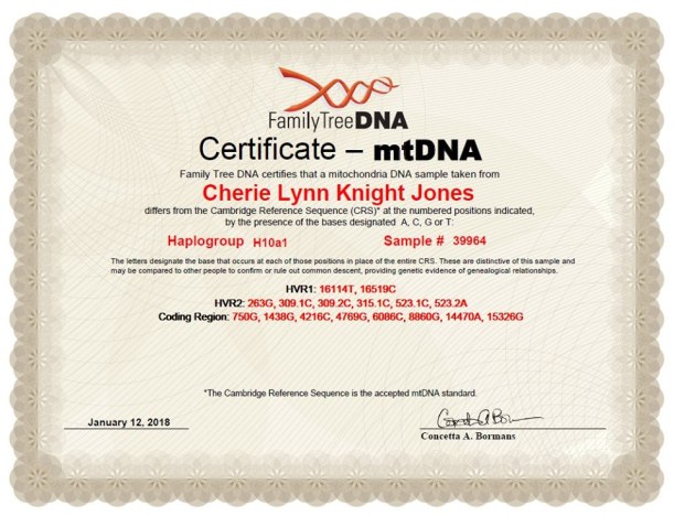 26239465_1670965166259598_1515409010958113257_n