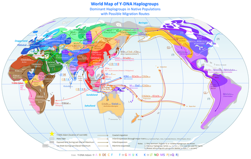 World_Map_of_Y-DNA_Haplogroups1