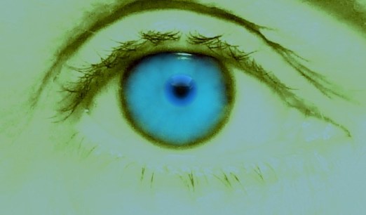 Copy of Copy of Copy442 of Copy of eye color cherie gedmatch 003