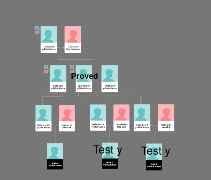 1 proved 1 Copy of Copy of male line ydna
