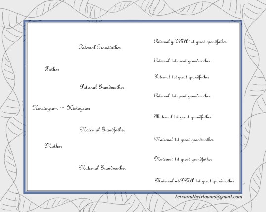 44Copy of gray Copy of 01 folder