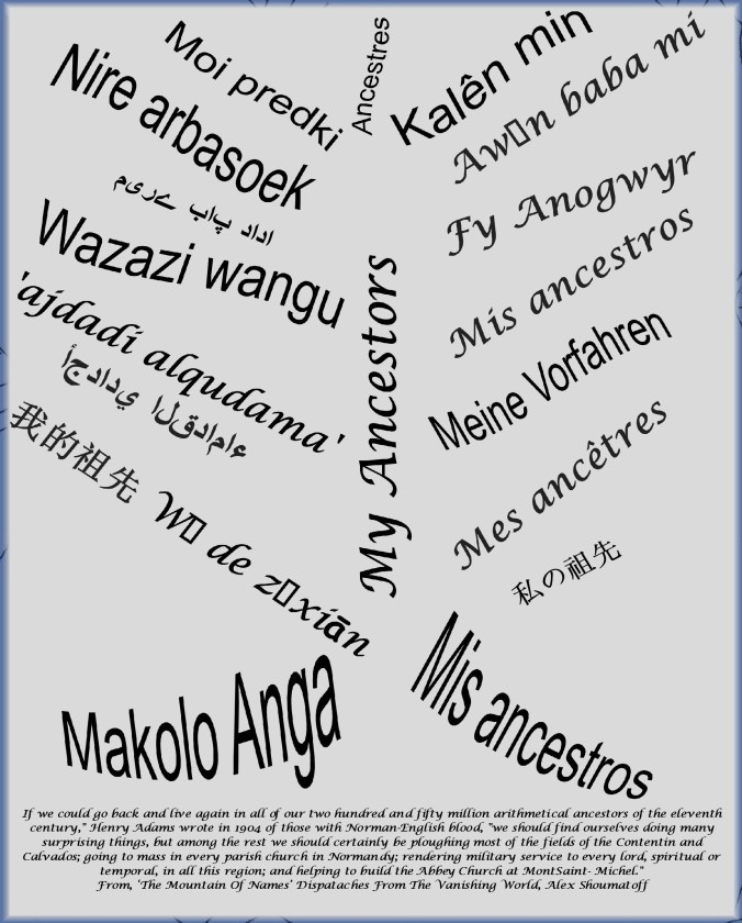 Copy of 3of 9aCopy of 01 folder