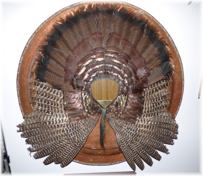 Copy of rawhide decks michael hurricane 028