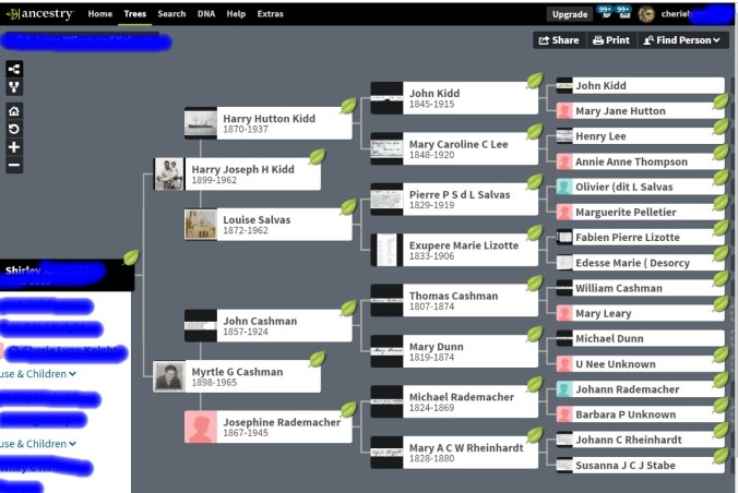 Copy of shirley admixture grandmother