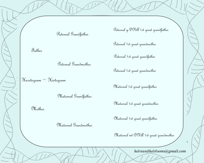 0bCopy of 02il Copy of Copy of pedigree c5