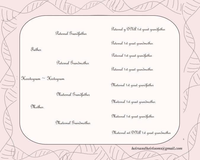 0pCopy of 02il Copy of Copy of pedigree c5