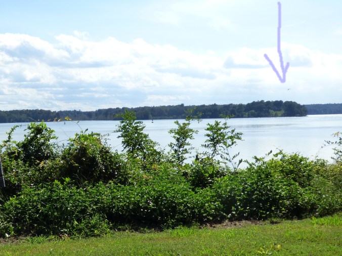 Copy2of rawhide deck dana kingsmill 011