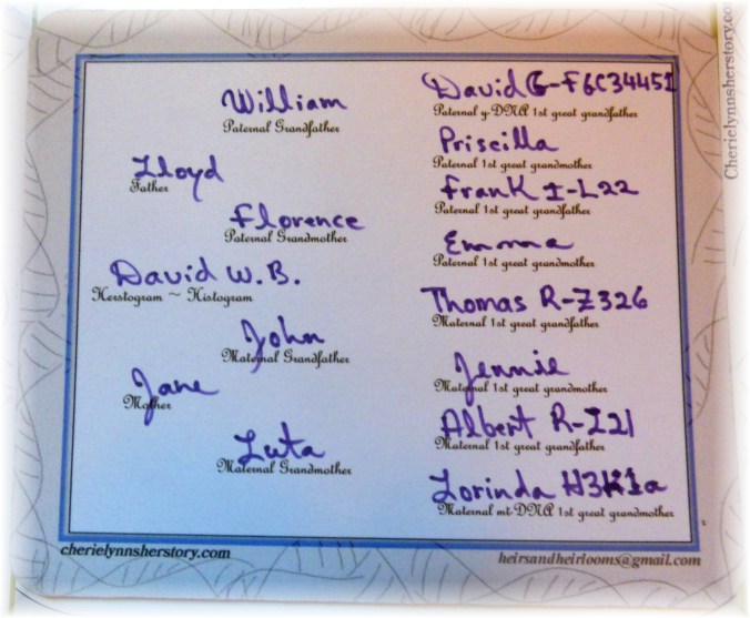 Copy of Copy of rawhide grip pedigree page dna 008