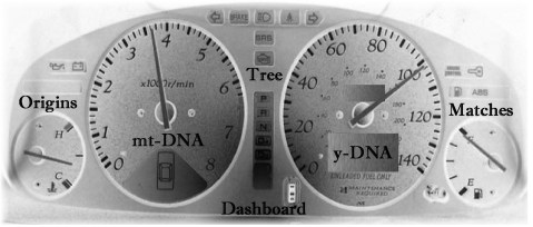 1 Copy of dashboard feature pic ftdna 2019 new