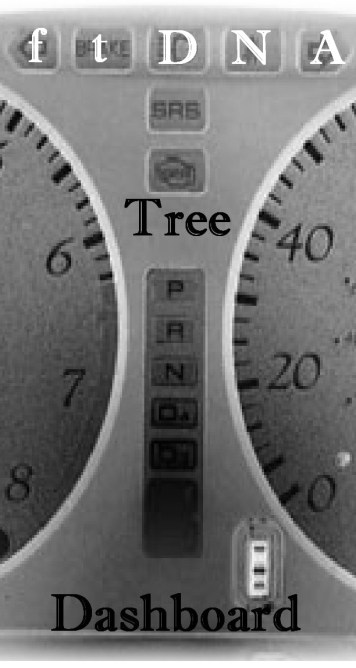 Copy 2of 1 Copy of dashboard feature pic ftdna 2019 new