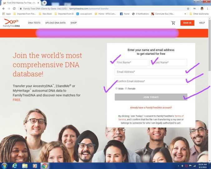 Copy of autosomal transfer 2