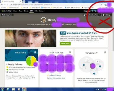 Copy of autosomal transfer 3 ancestry 3