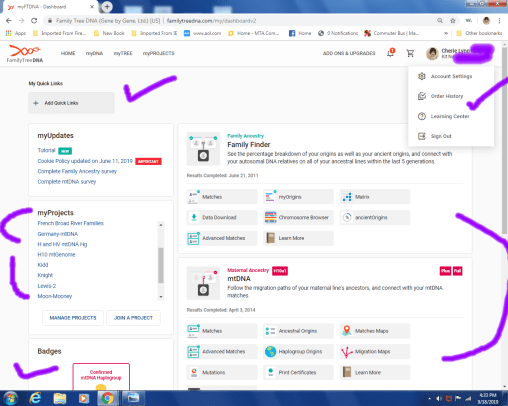 ftdna accounts top right