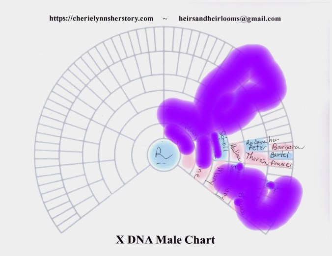 Copy of richie densmore x dna ancestors