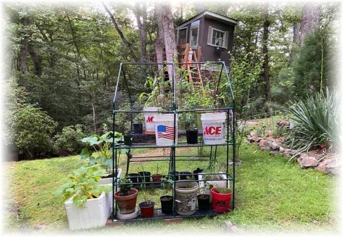 107401476_3237222229633876_2943617309724216242_n